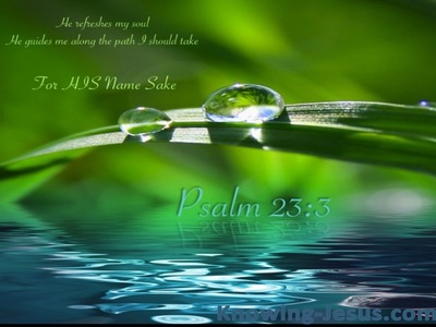 Psalm 23:3 He Leads Me Beside Still Waters (green)